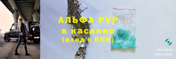 сатива Абинск