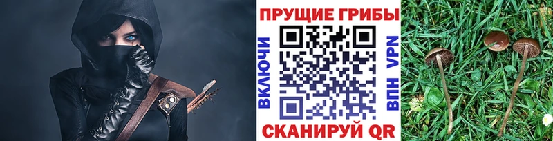 Галлюциногенные грибы GOLDEN TEACHER  хочу наркоту  Назрань 